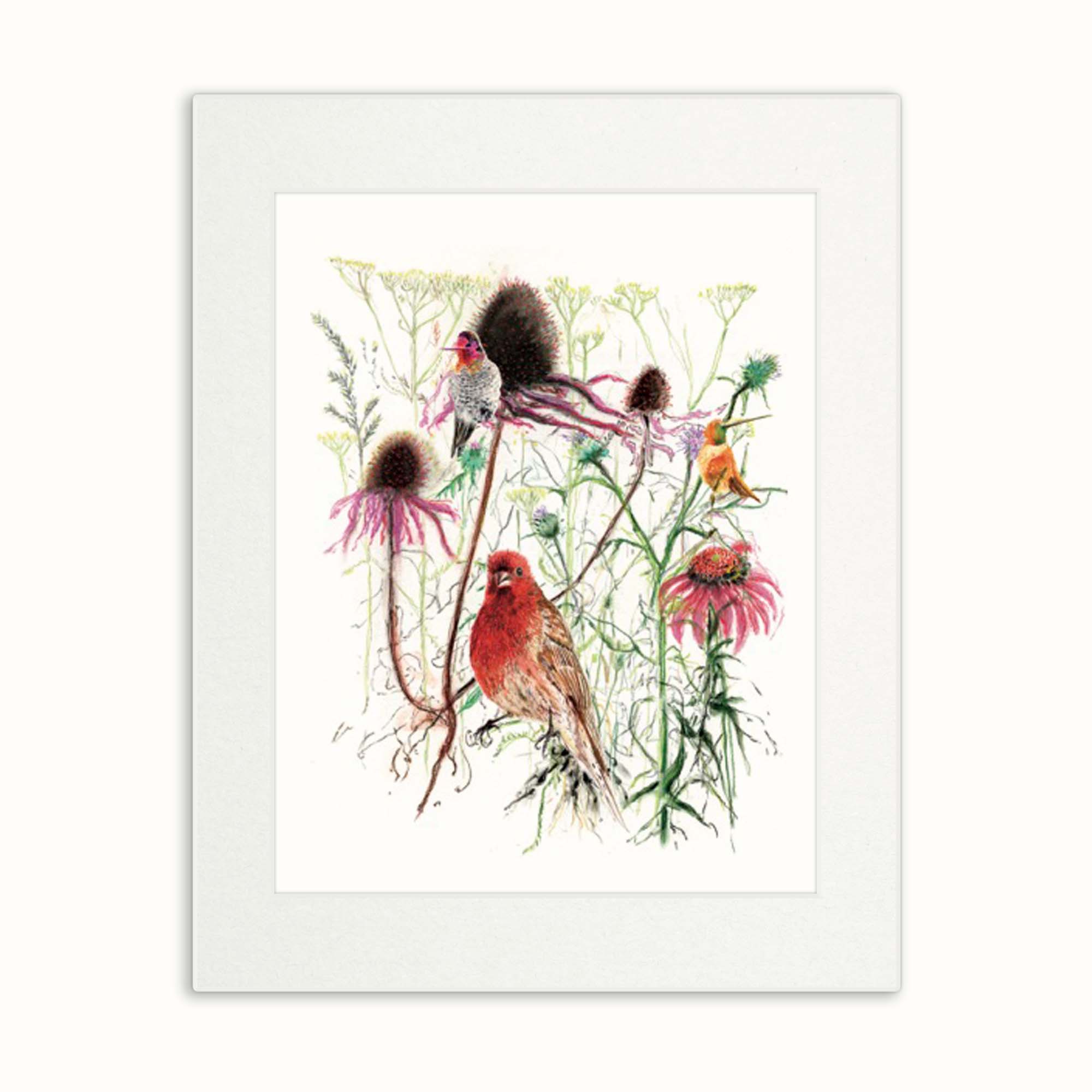 Finch and Hummingbird