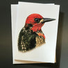 Bird Portraits - 4 card set