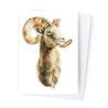 Páipéar Cards - Iconic Animals Box Set of 12
