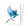 Páipéar Cards - Canadian Birds Box Set of 12