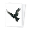 Páipéar Cards - Canadian Birds Folder of 6