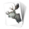 Páipéar Cards - Iconic Animals Box Set of 12