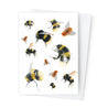 Páipéar Cards - Canadian Birds & Bees Box Set of 12