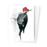 Páipéar Cards - Canadian Birds Box Set of 12