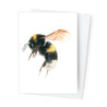 Páipéar Cards - Bees Folder of 6