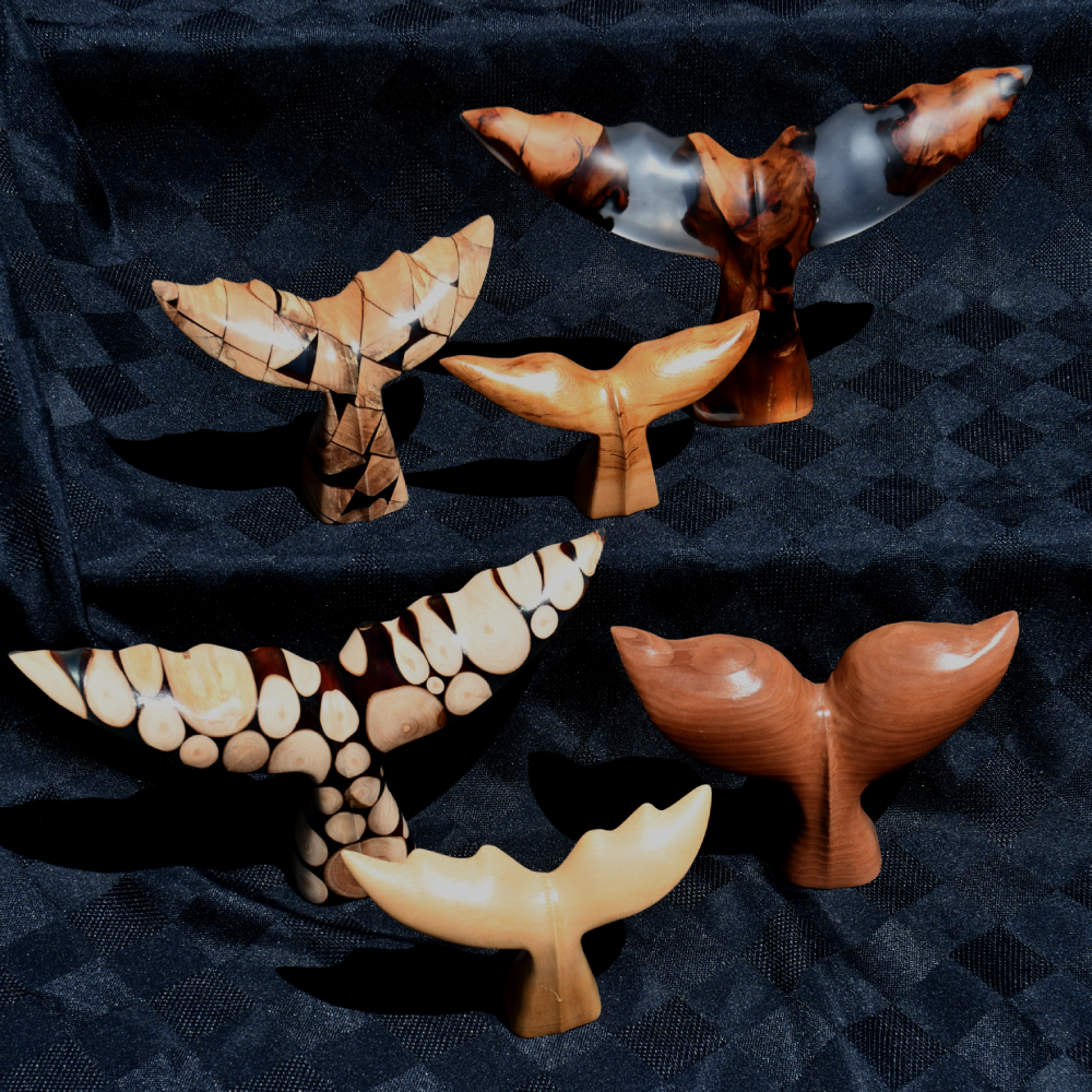 Whale Tail - redwood