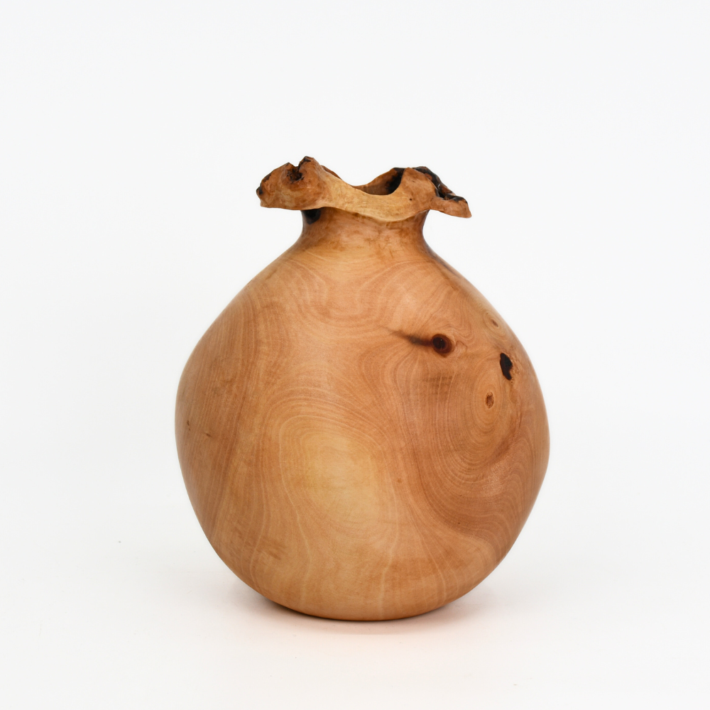 Arbutus Canker Blossom Vase