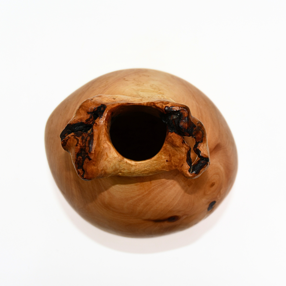 Arbutus Canker Blossom Vase