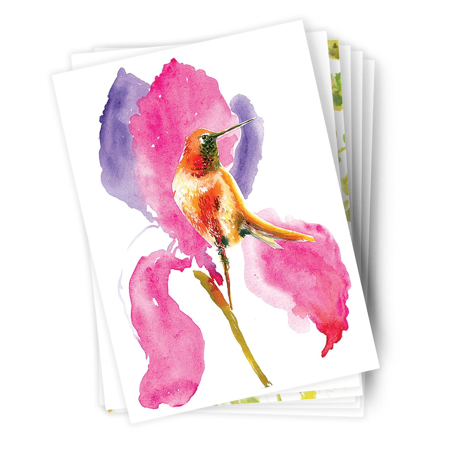 Páipéar Cards - Canadian Birds Folder of 6