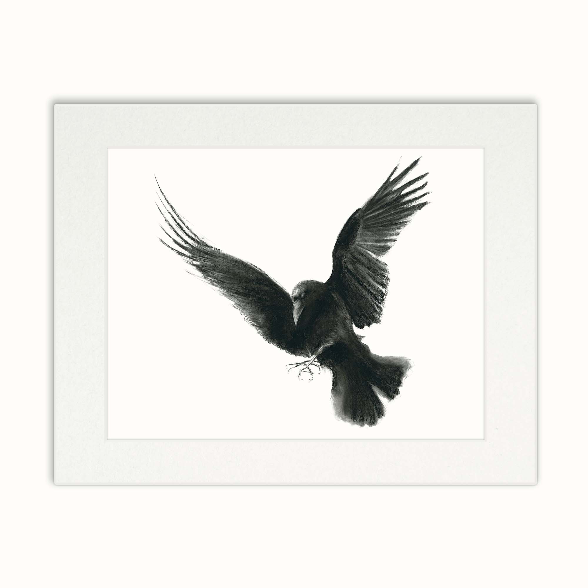Crow