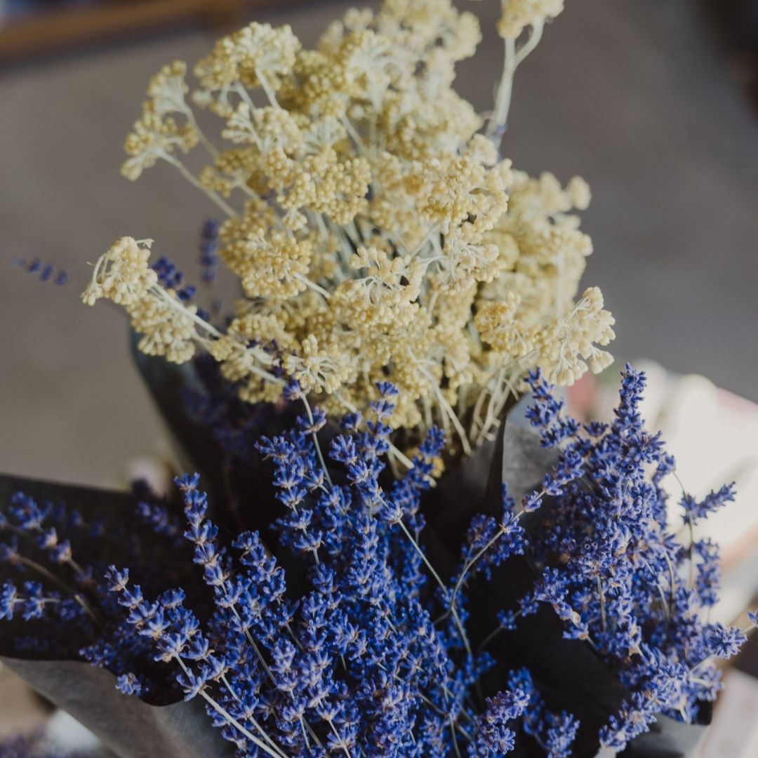 Immortelle Skin Serum