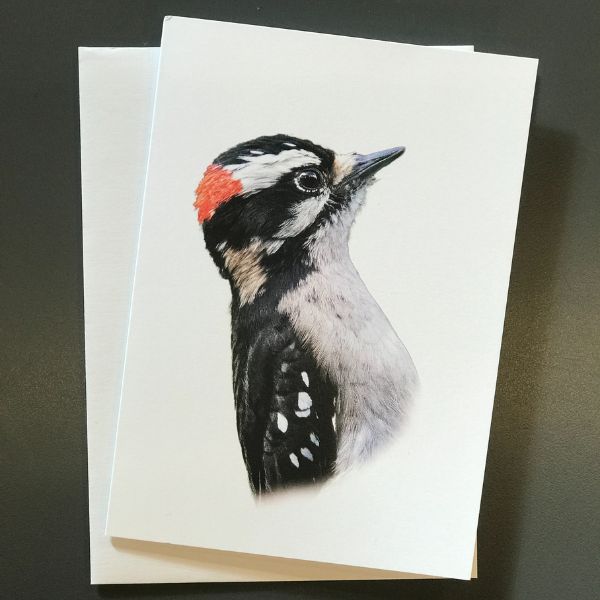 Bird Portraits - 4 card set