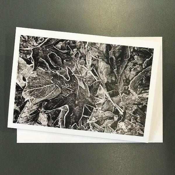 Winter in a Coastal Forest - 4 card set