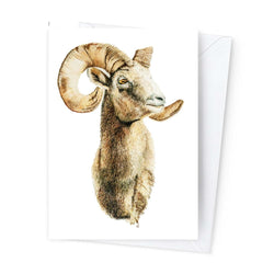 Páipéar Cards - Iconic Animals Folder of 6