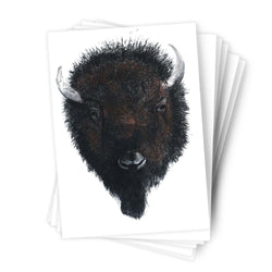 Páipéar Cards - Iconic Animals Folder of 6