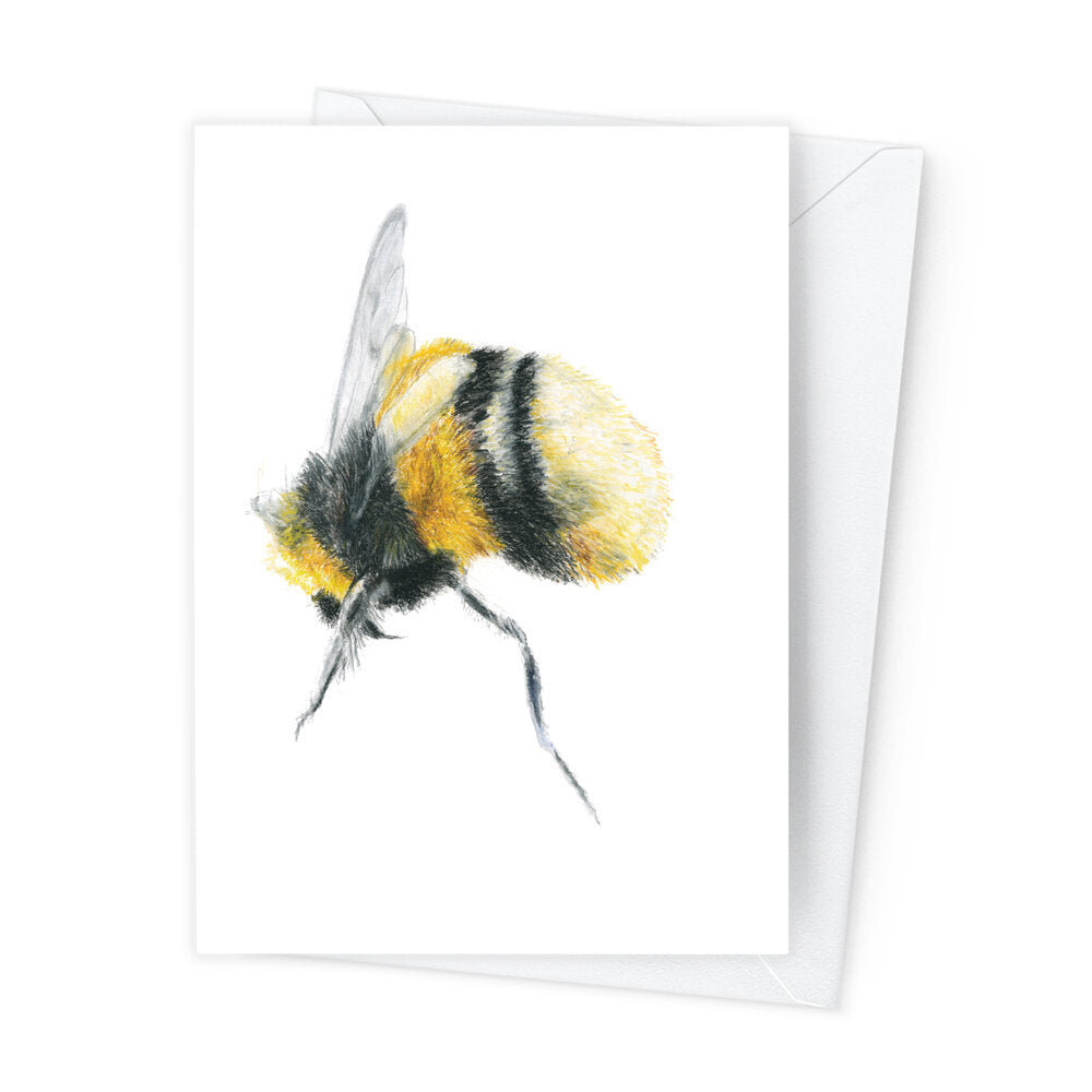 Páipéar Cards - Bees Folder of 6