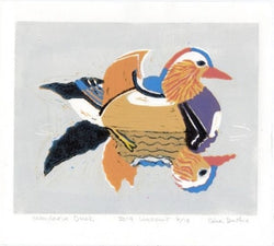 Mandarin Duck