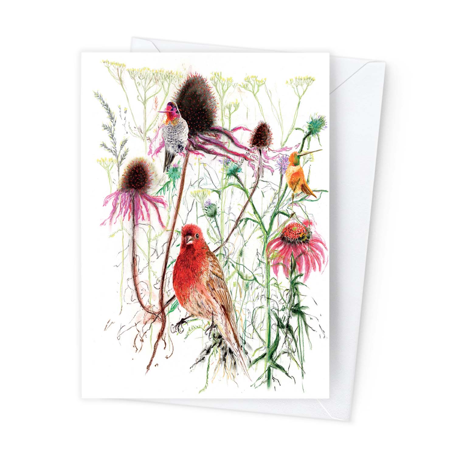 Páipéar Cards - Canadian Birds Box Set of 12