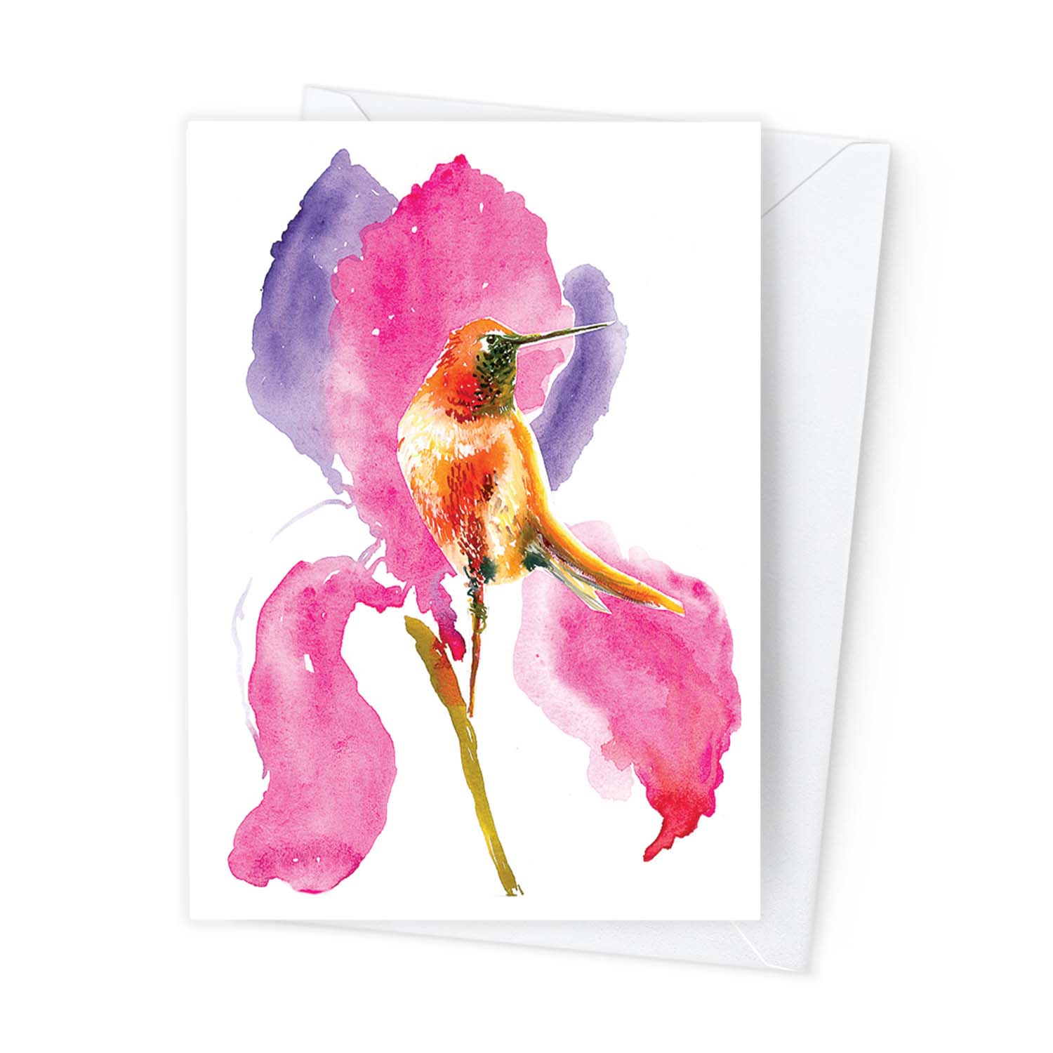 Páipéar Cards - Canadian Birds & Bees Box Set of 12