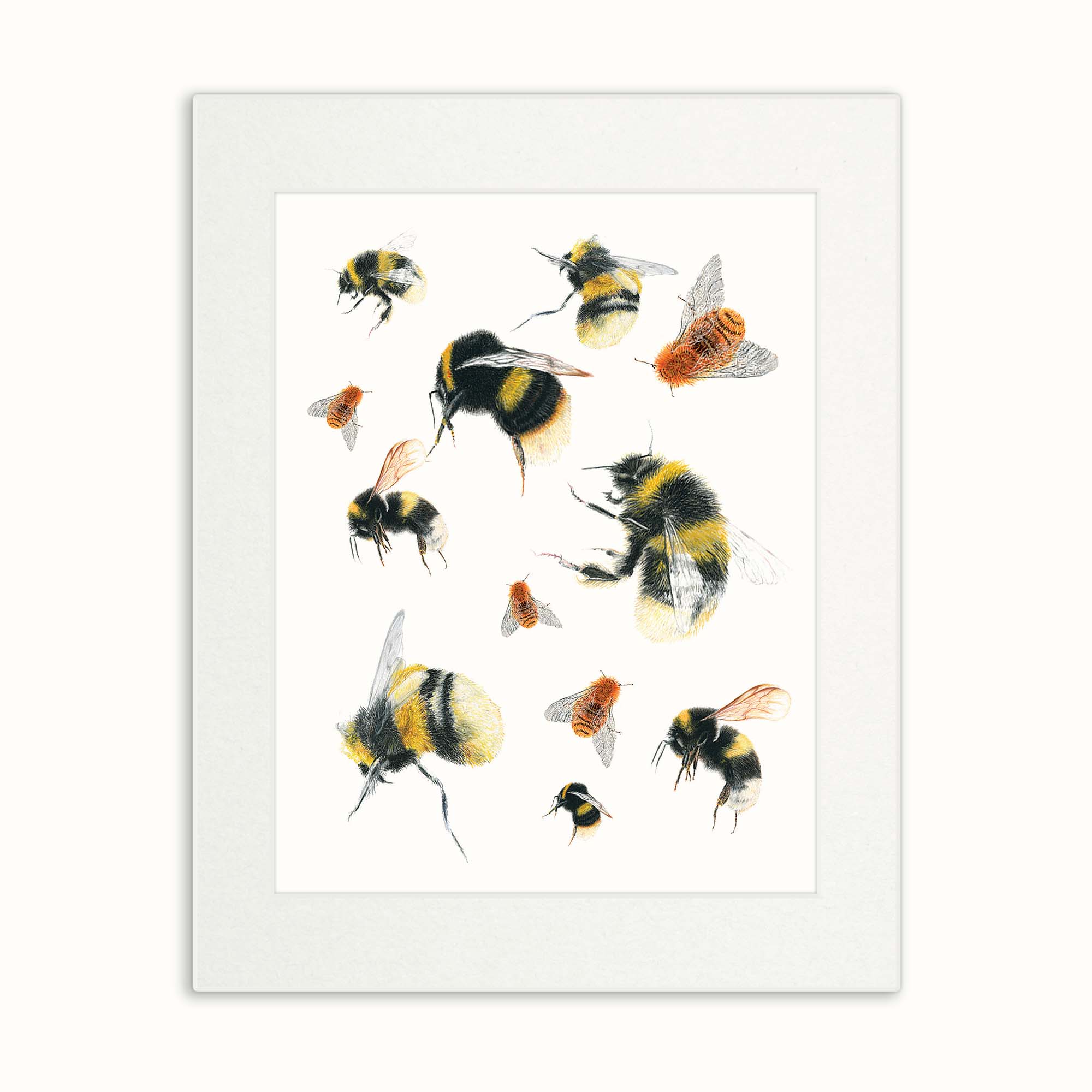 Multitude of Bees