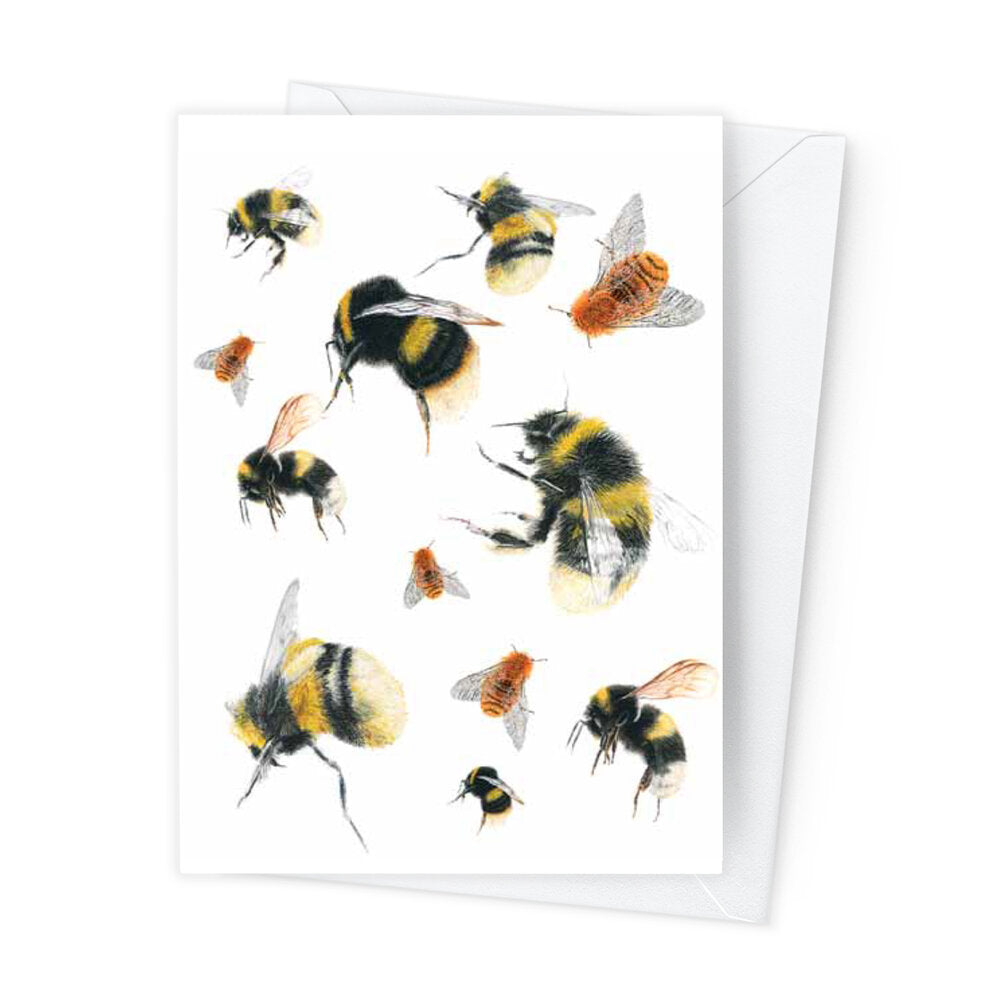 Páipéar Cards - Bees Folder of 6