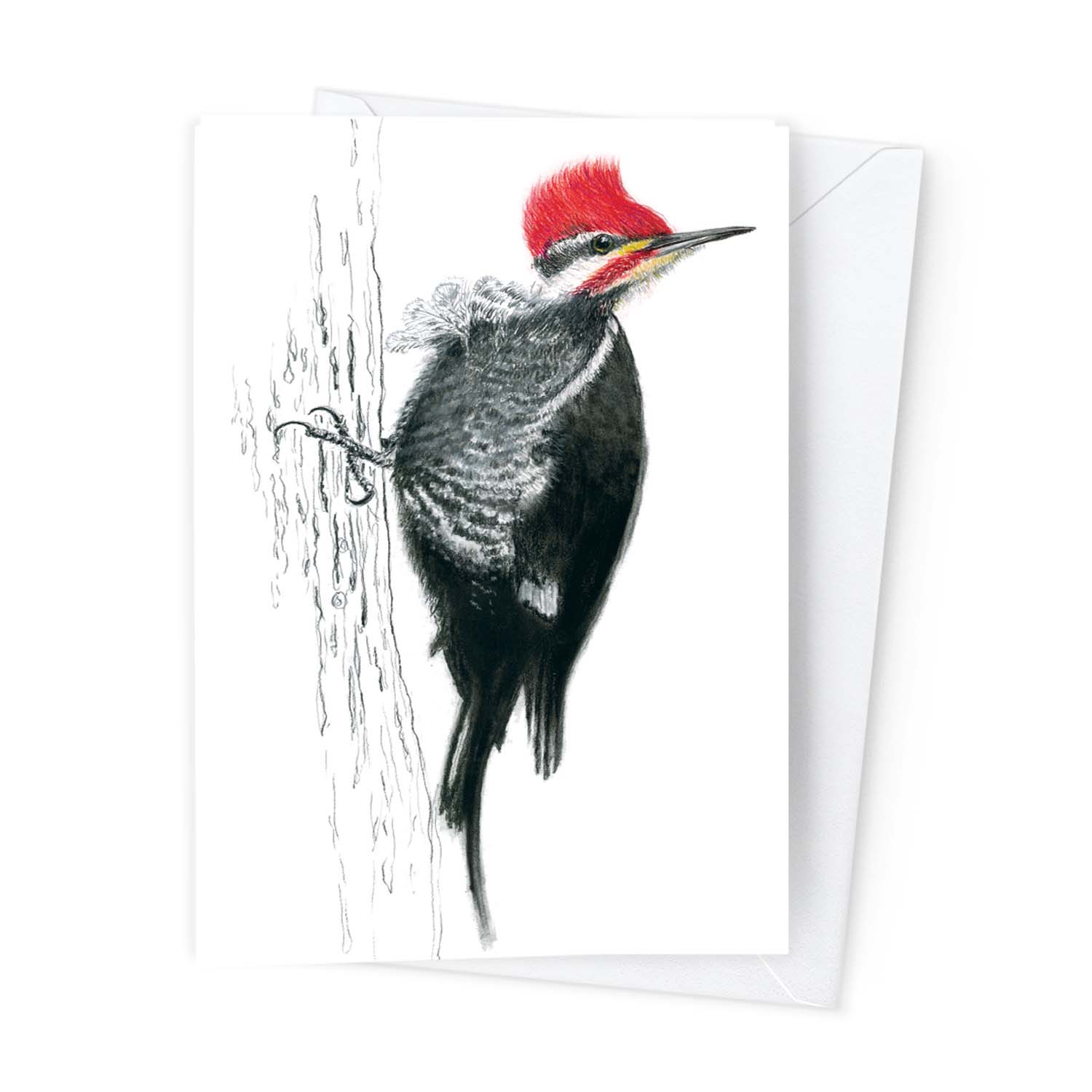 Páipéar Cards - Canadian Birds Folder of 6