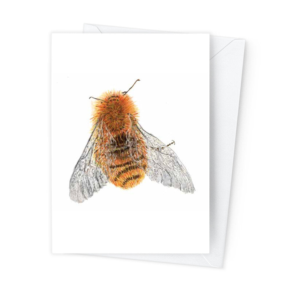 Páipéar Cards - Bees Folder of 6