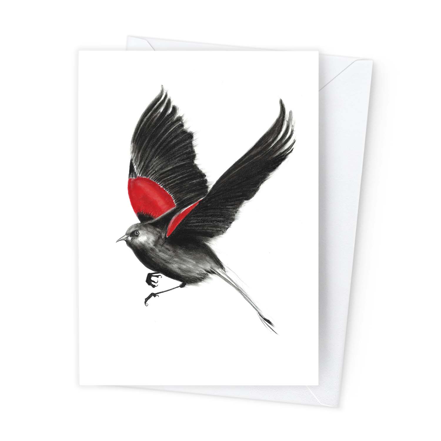 Páipéar Cards - Canadian Birds & Bees Box Set of 12