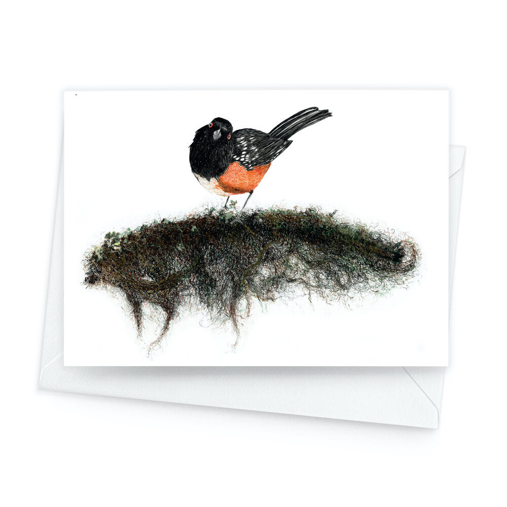 Páipéar Cards - Canadian Birds Box Set of 12