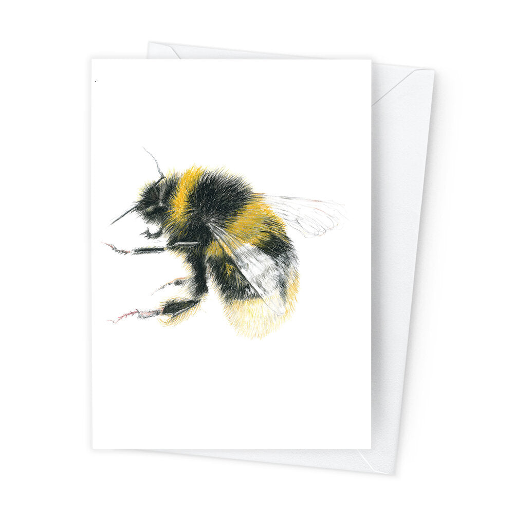 Páipéar Cards - Canadian Birds & Bees Box Set of 12